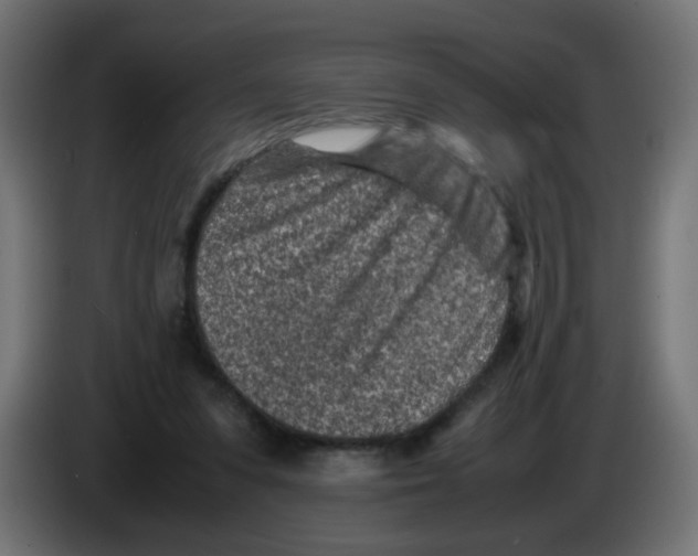 X0000083030303200703022032