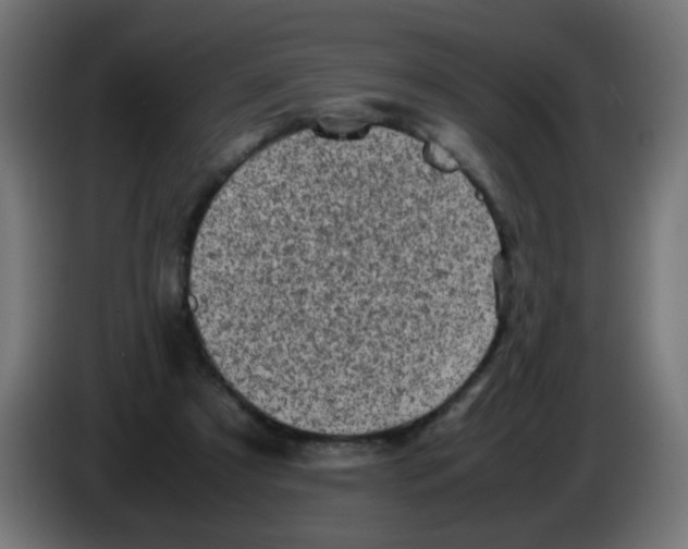 X0000083030305200703022032