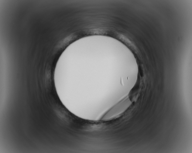 X0000083030306200703022032