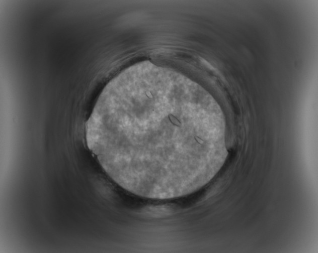 X0000083030307200703022032