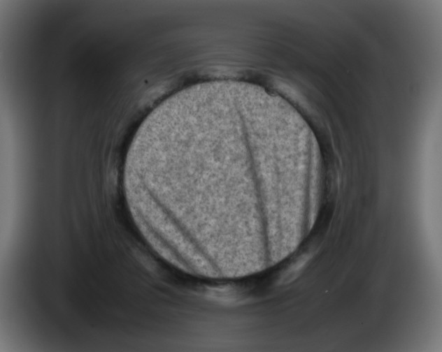 X0000083030309200703022032