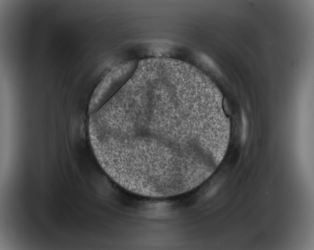 X0000083030313200703022032