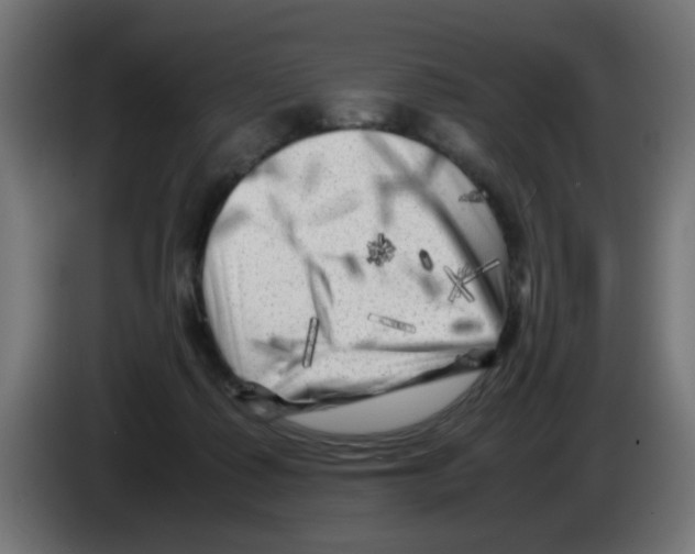 X0000083030315200703022032