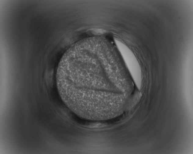 X0000083030319200703022032