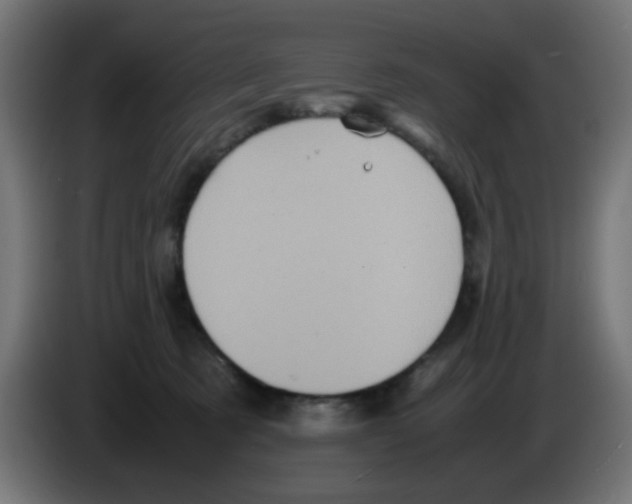 X0000083030321200703022032