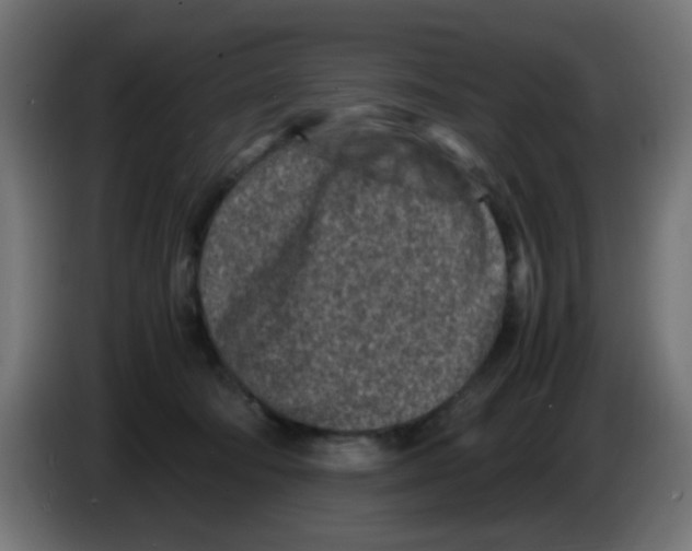 X0000083030322200703022032