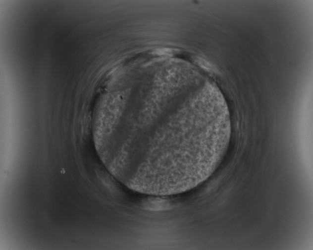 X0000083030325200703022032