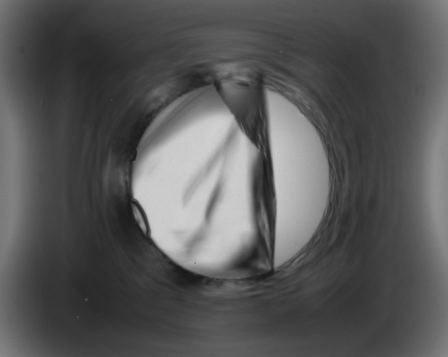 X0000083030329200703022032