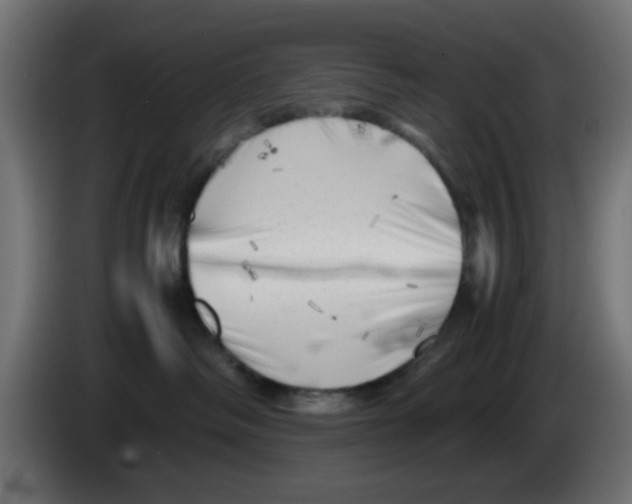 X0000083030334200703022032