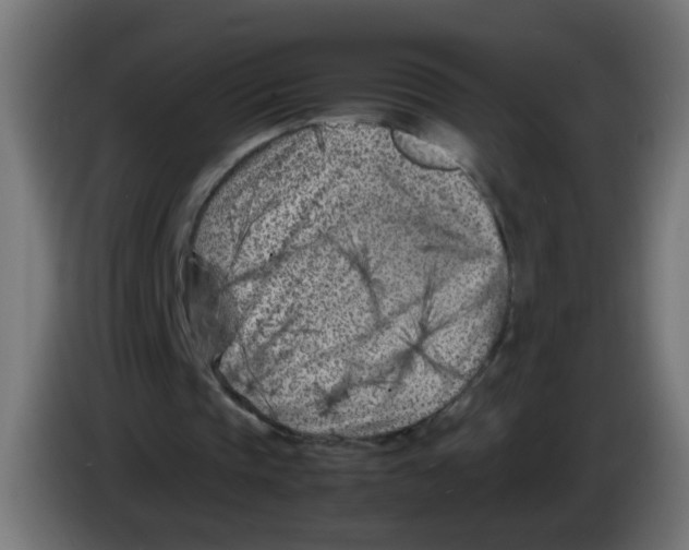 X0000083030337200703022031