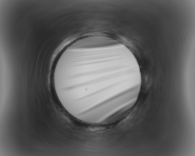 X0000083030340200703022031