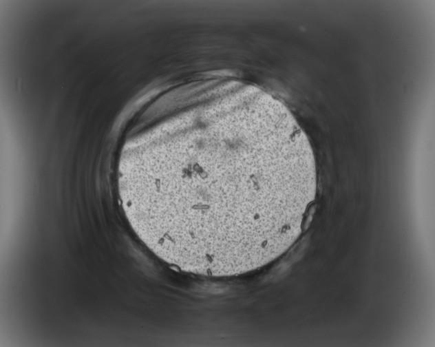 X0000083030341200703022031