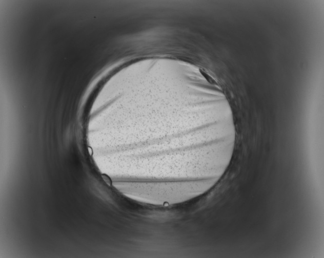 X0000083030342200703022031