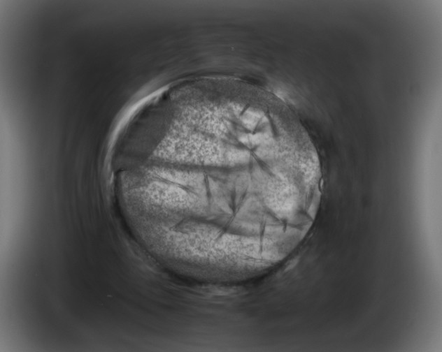 X0000083030343200703022031