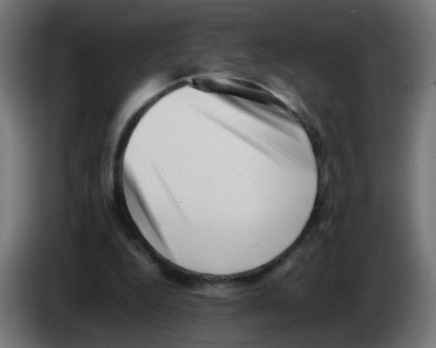 X0000083030344200703022031