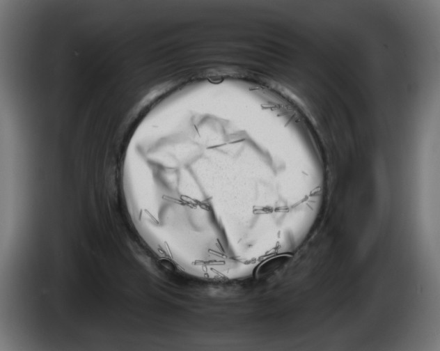 X0000083030345200703022031