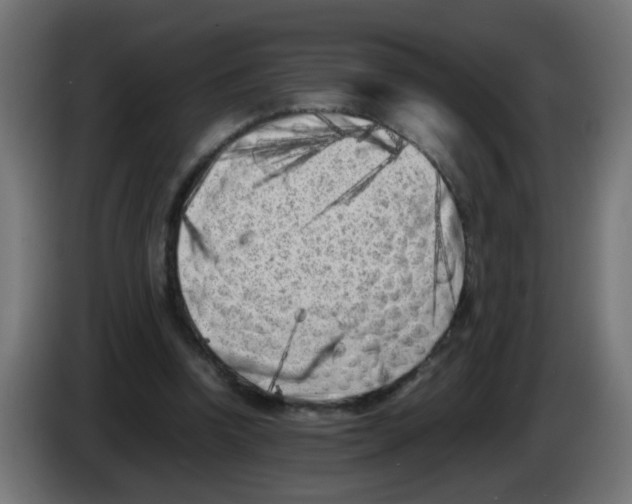 X0000083030346200703022031