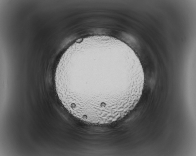 X0000083030347200703022031