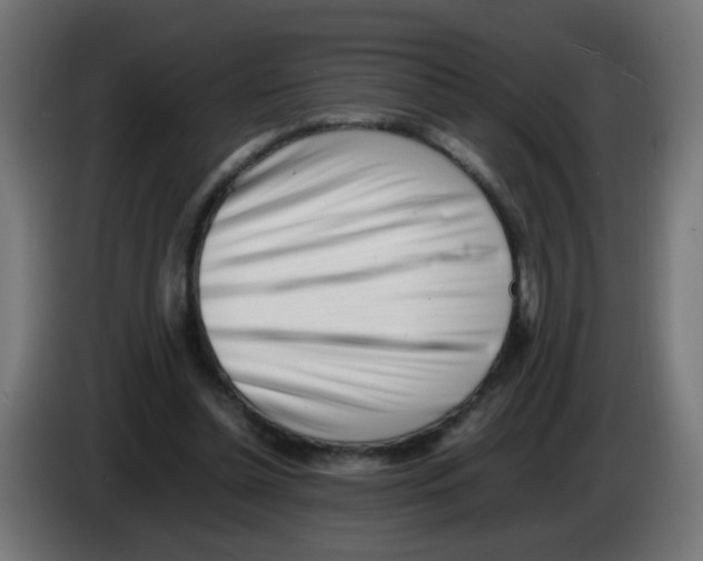 X0000083030348200703022031