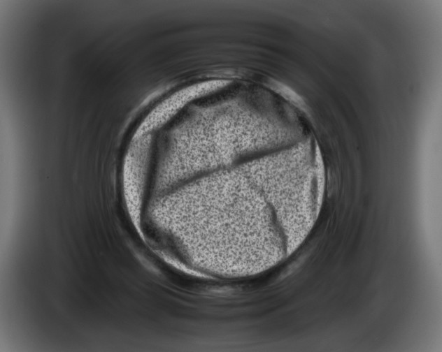 X0000083030349200703022031