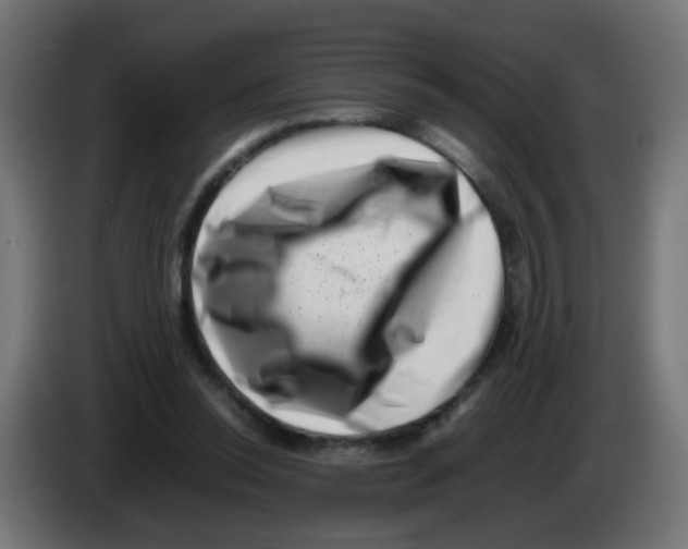 X0000083030350200703022031