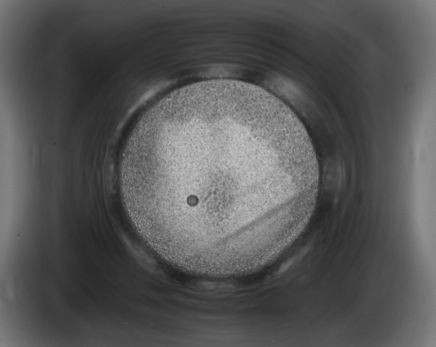 X0000083030351200703022031