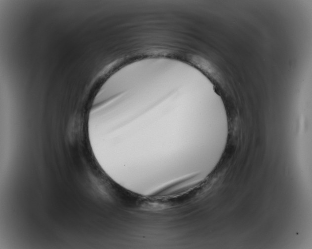 X0000083030352200703022031