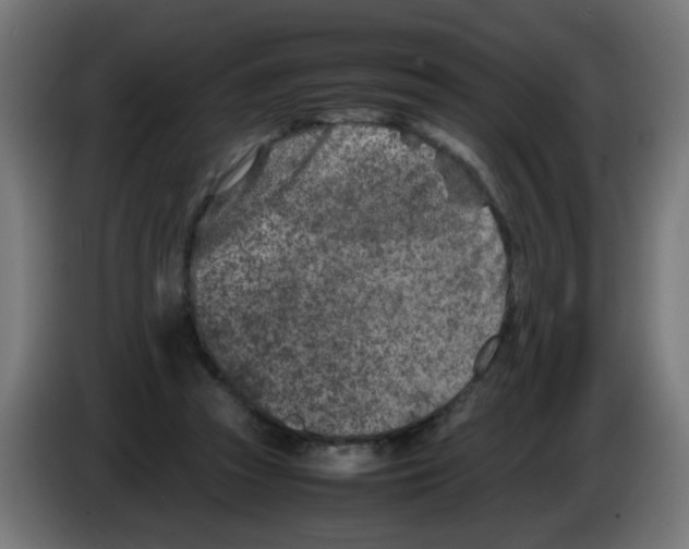 X0000083030353200703022031