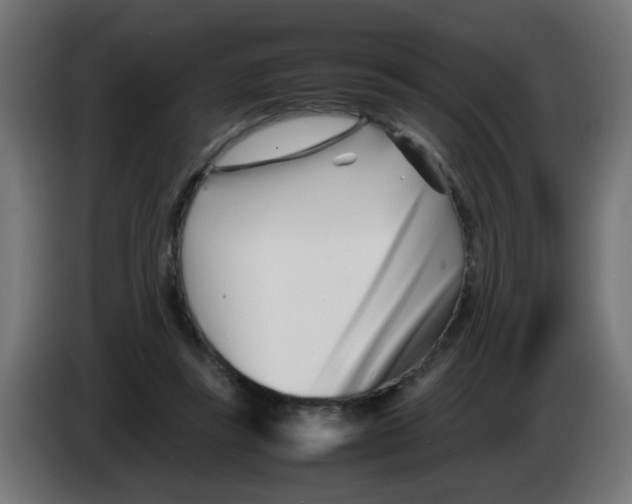 X0000083030355200703022031