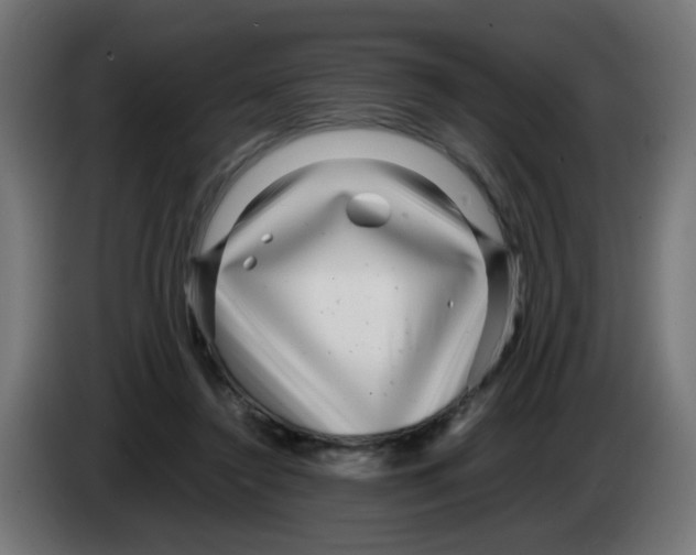 X0000083030356200703022031