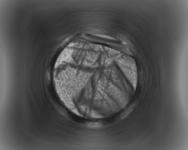 X0000083030358200703022031