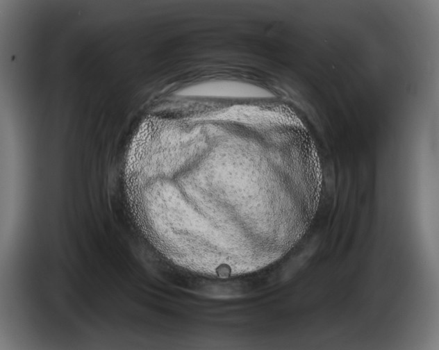 X0000083030359200703022031