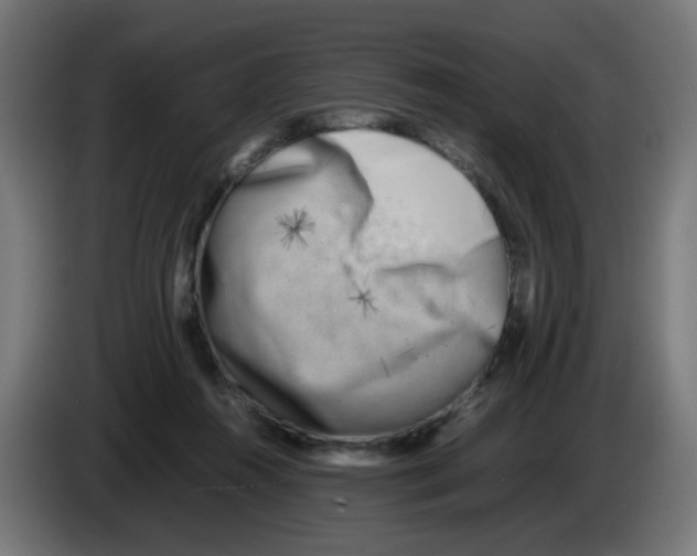 X0000083030360200703022031