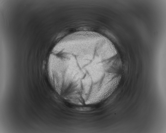 X0000083030361200703022031