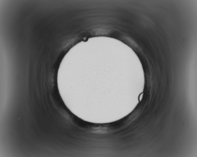 X0000083030362200703022031