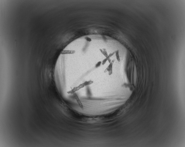 X0000083030363200703022031