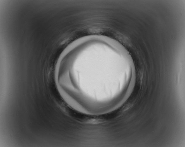 X0000083030364200703022031