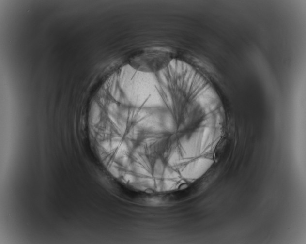 X0000083030365200703022031