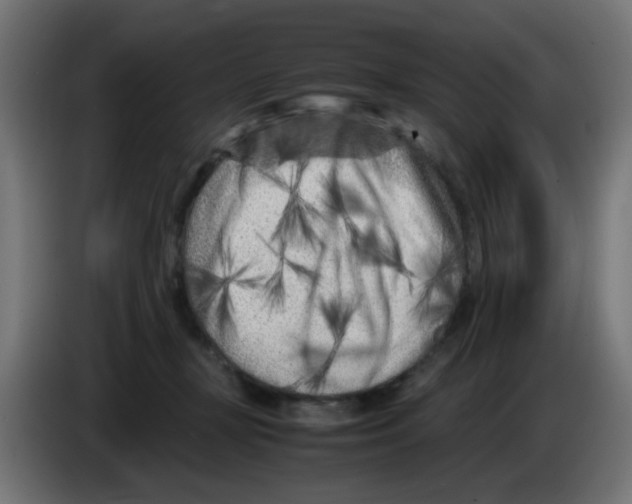 X0000083030367200703022031