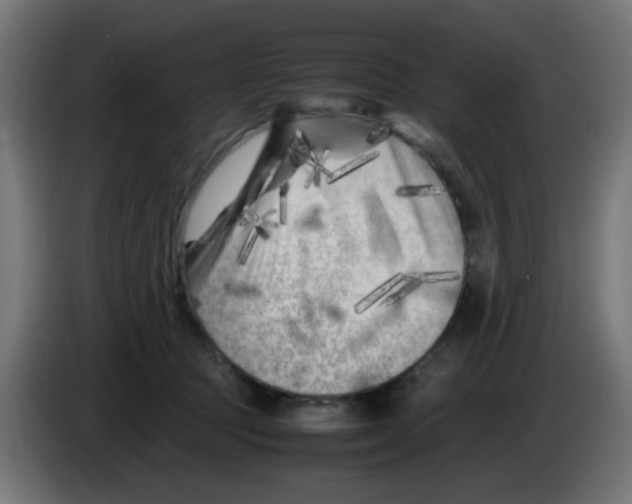 X0000083030369200703022031