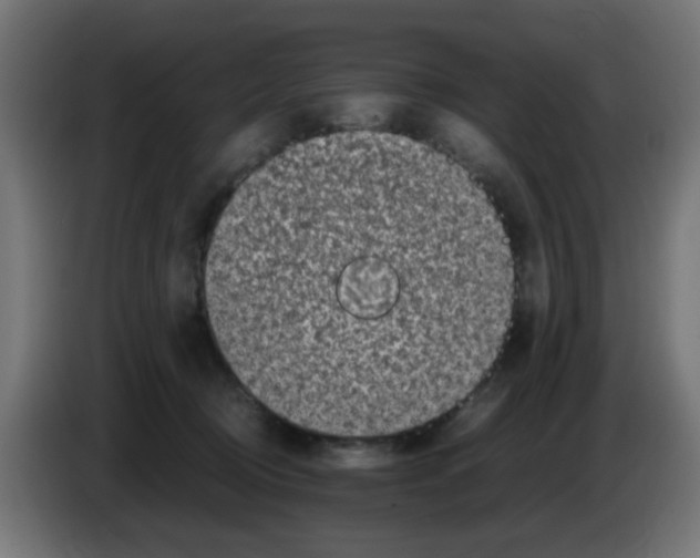 X0000083030370200703022031