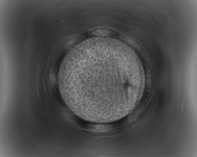 X0000083030371200703022031