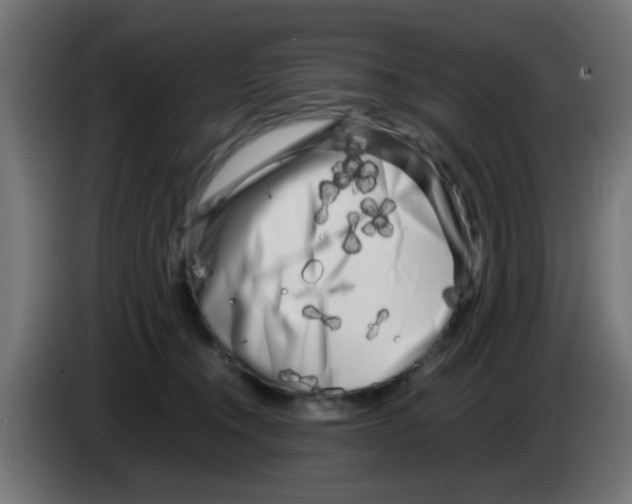 X0000083030372200703022031