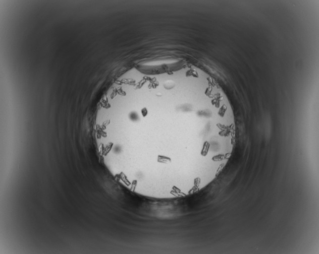 X0000083030373200703022031