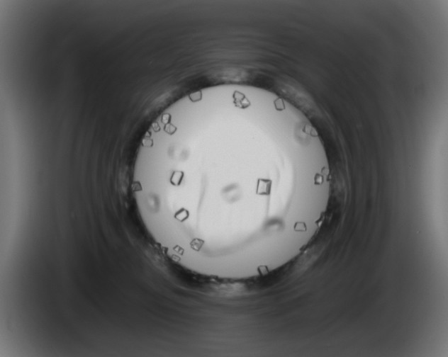 X0000083030374200703022031