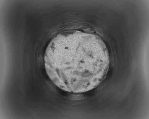 X0000083030375200703022031