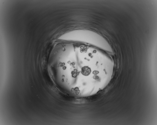 X0000083030376200703022031