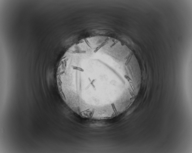 X0000083030377200703022031