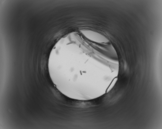 X0000083030379200703022031