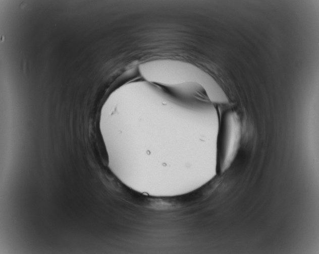 X0000083030380200703022031